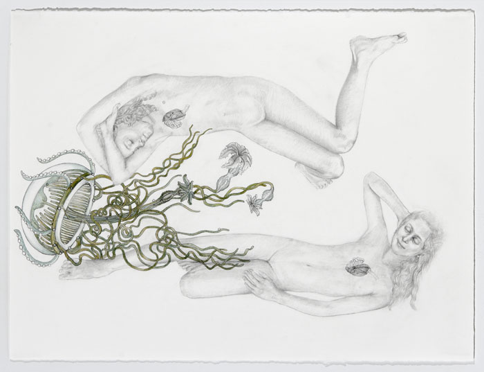two naked girls floating with jellyfish